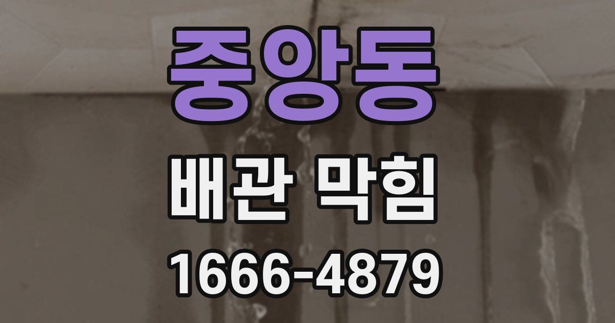 중앙동 배관 막힘