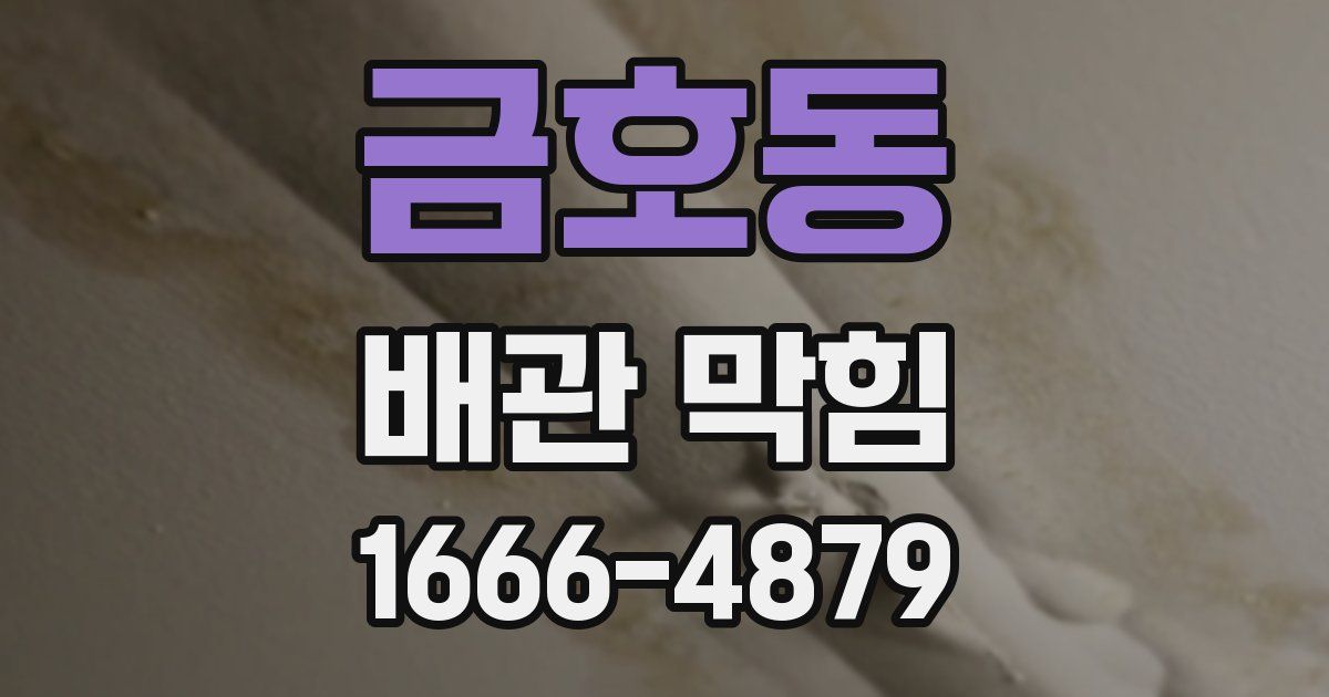금호동 배관 막힘