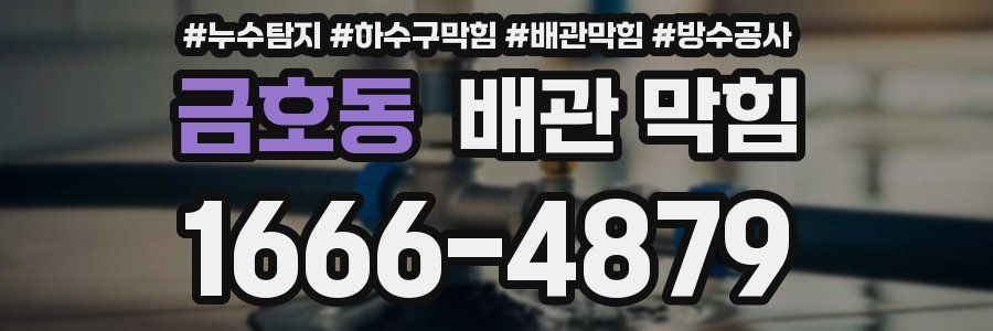 금호동 배관 막힘