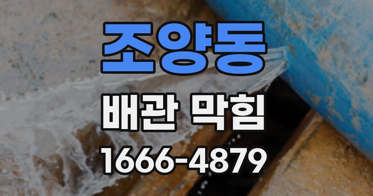 조양동 배관 막힘