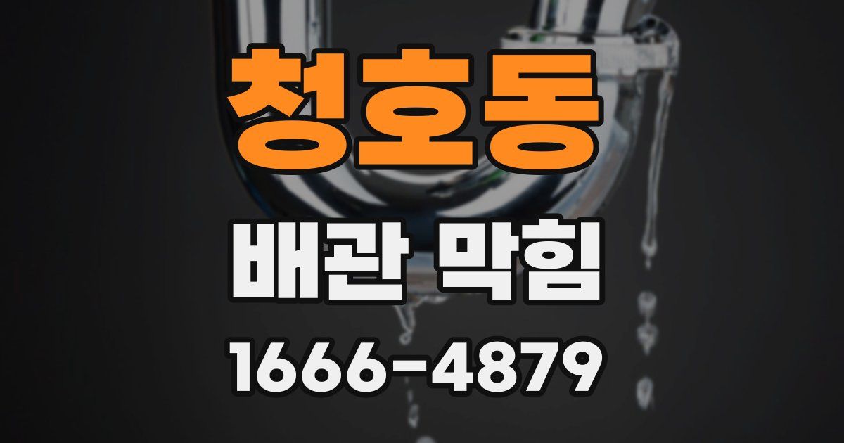 청호동 배관 막힘
