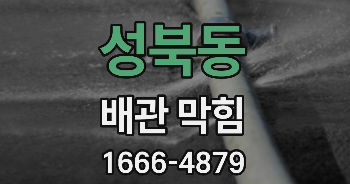성북동 배관 막힘
