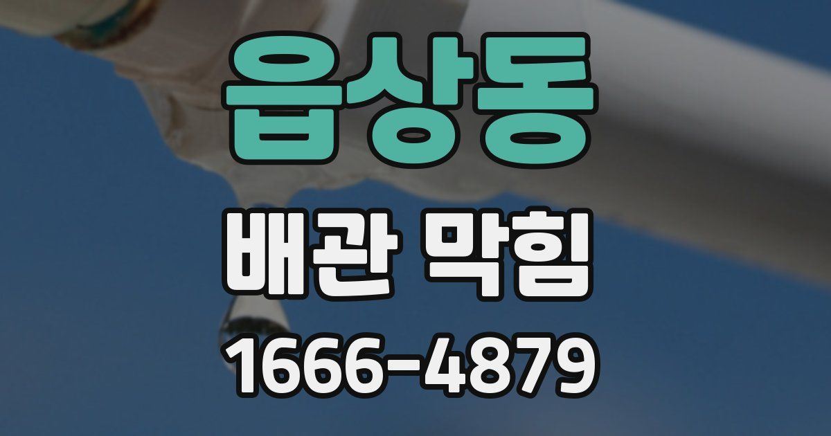 읍상동 배관 막힘