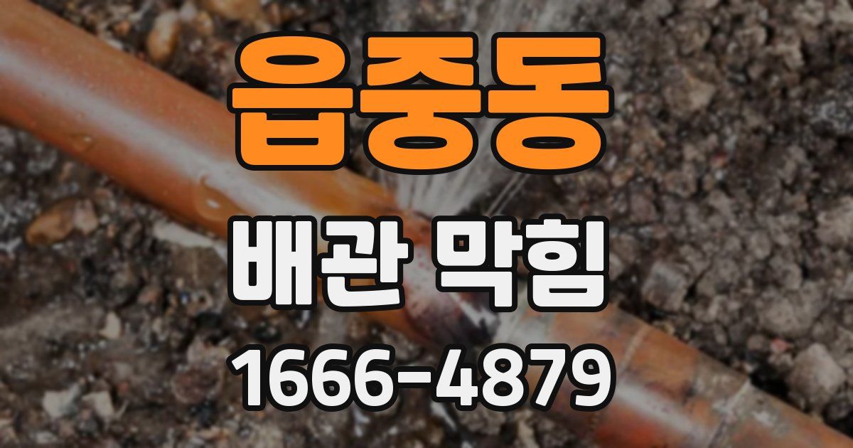 읍중동 배관 막힘