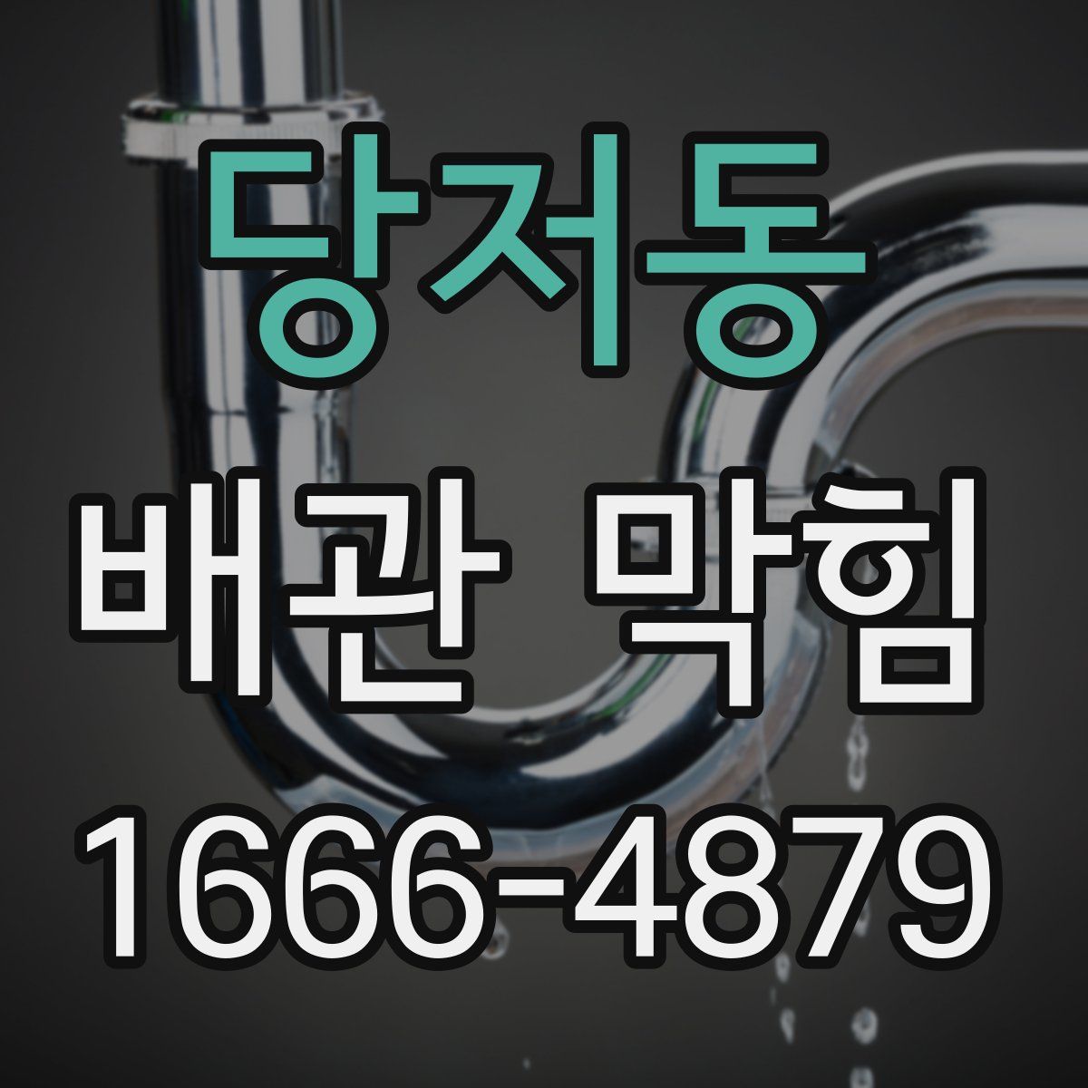 당저동 배관 막힘