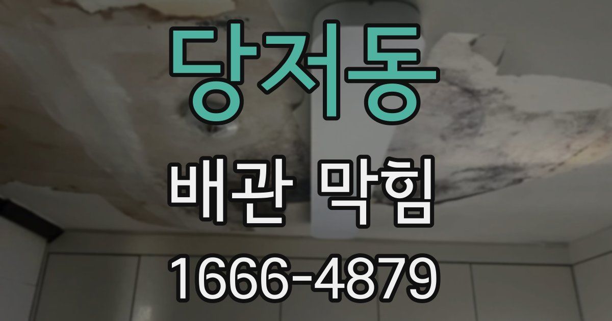 당저동 배관 막힘