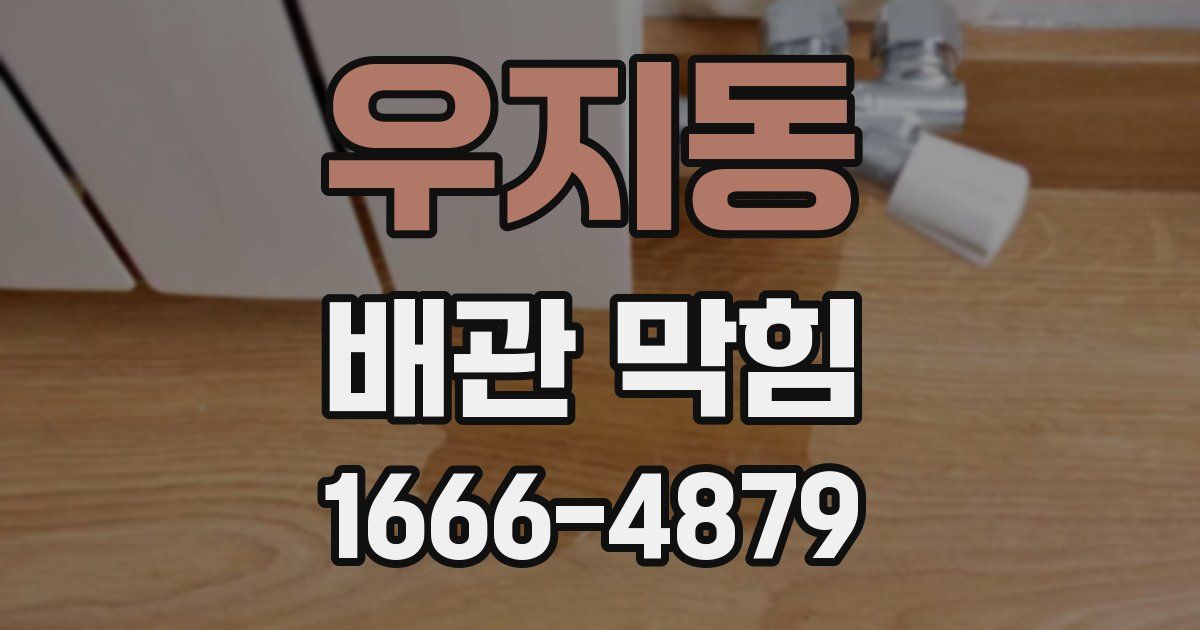 우지동 배관 막힘