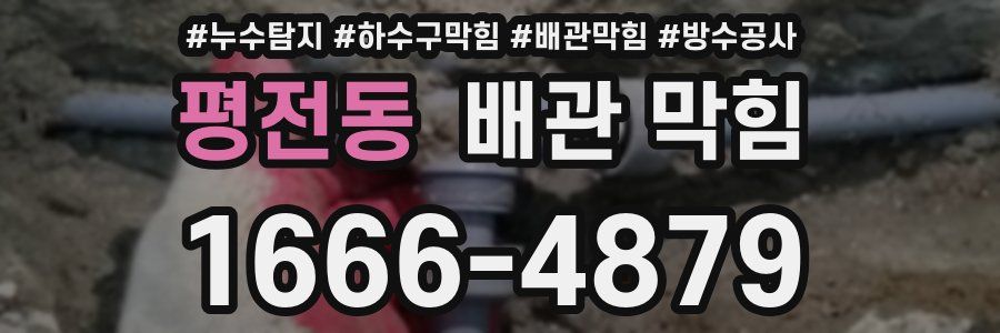 평전동 배관 막힘