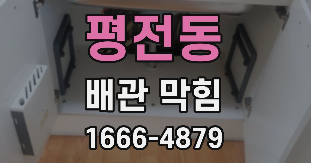 평전동 배관 막힘