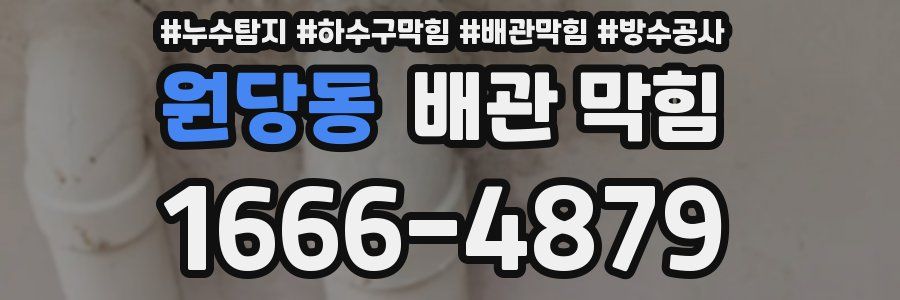 원당동 배관 막힘