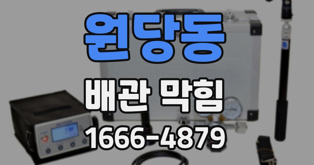 원당동 배관 막힘