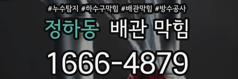 정하동 배관 막힘