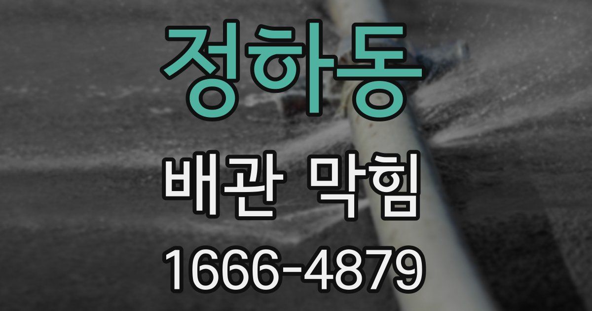 정하동 배관 막힘