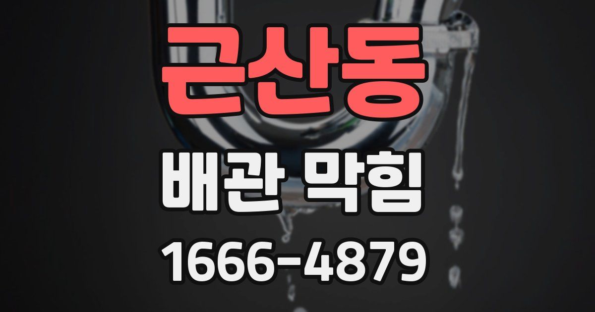 근산동 배관 막힘