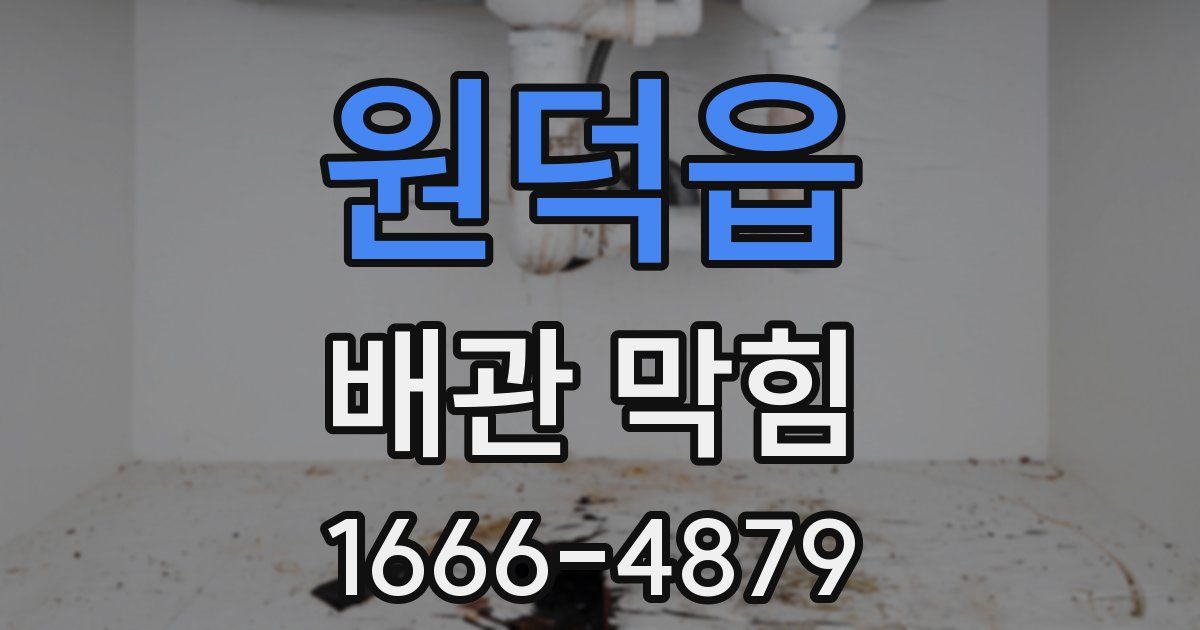 원덕읍 배관 막힘