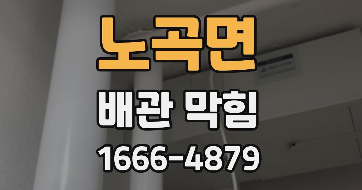 노곡면 배관 막힘