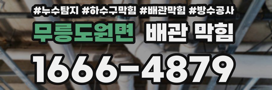 무릉도원면 배관 막힘
