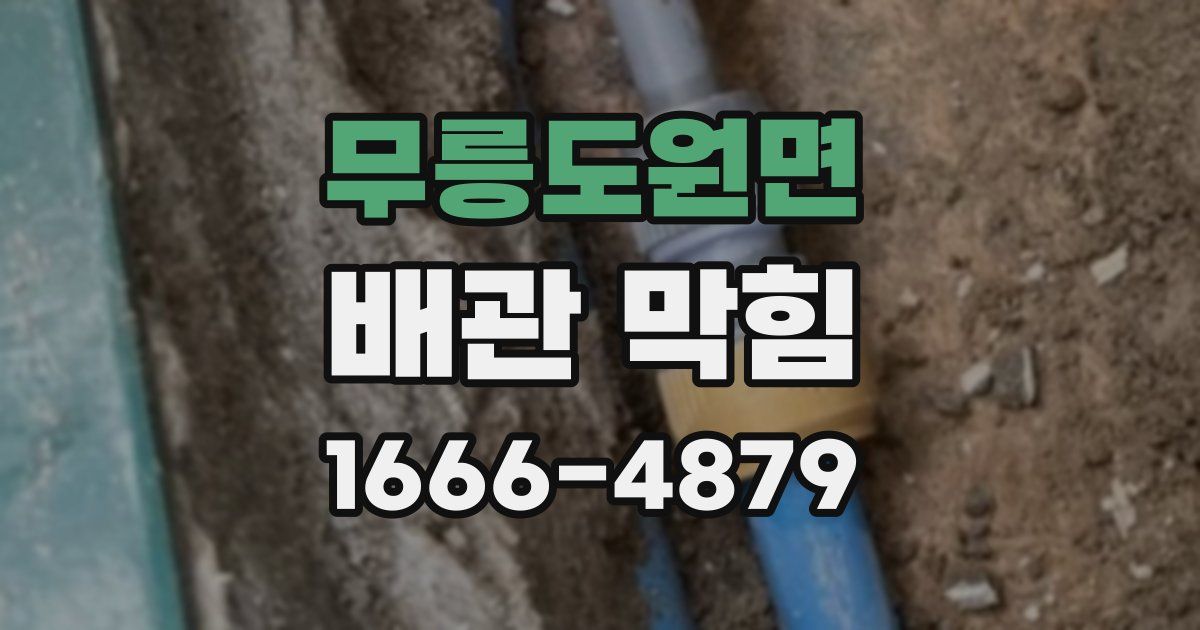 무릉도원면 배관 막힘
