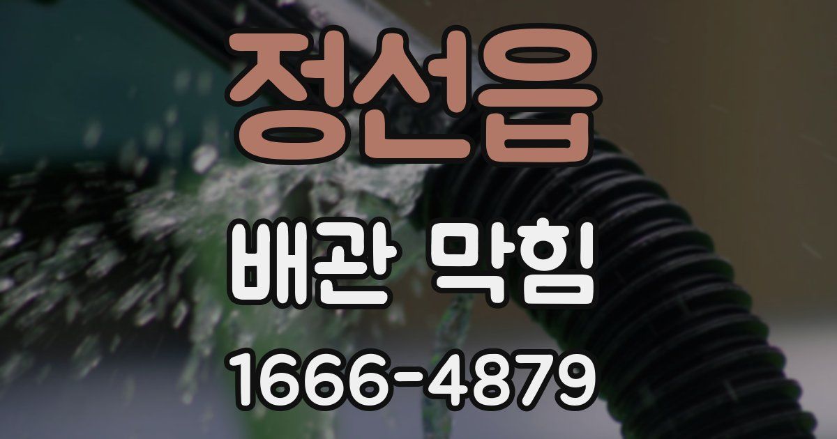 정선읍 배관 막힘