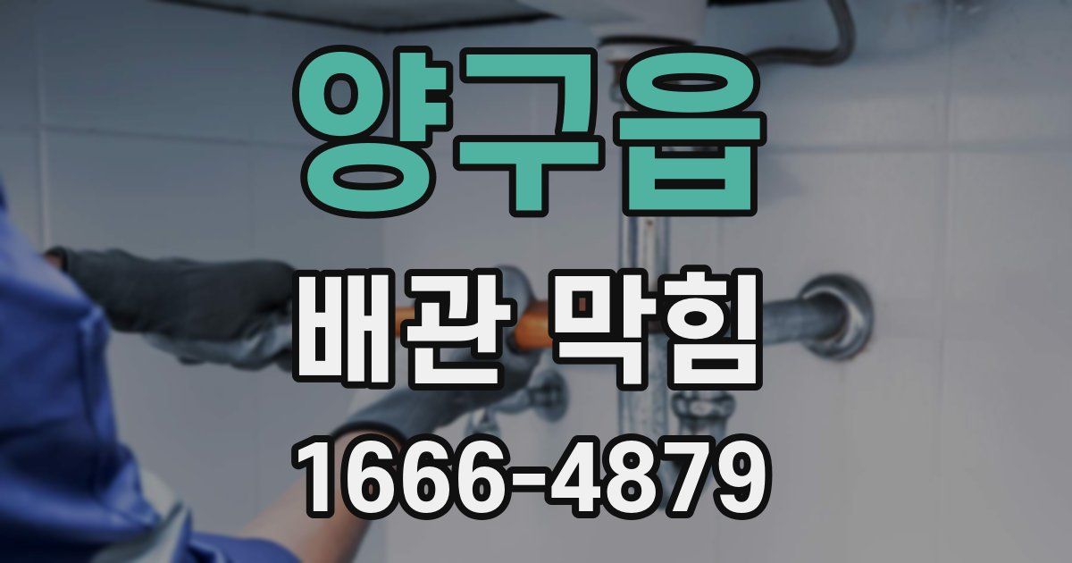 양구읍 배관 막힘