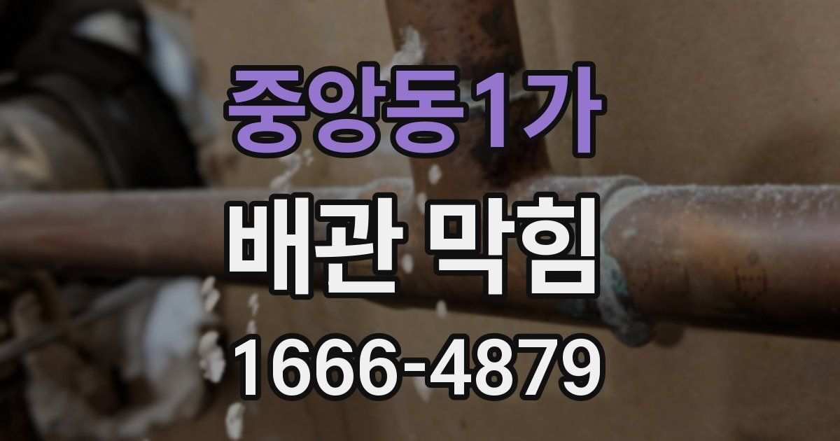 중앙동1가 배관 막힘