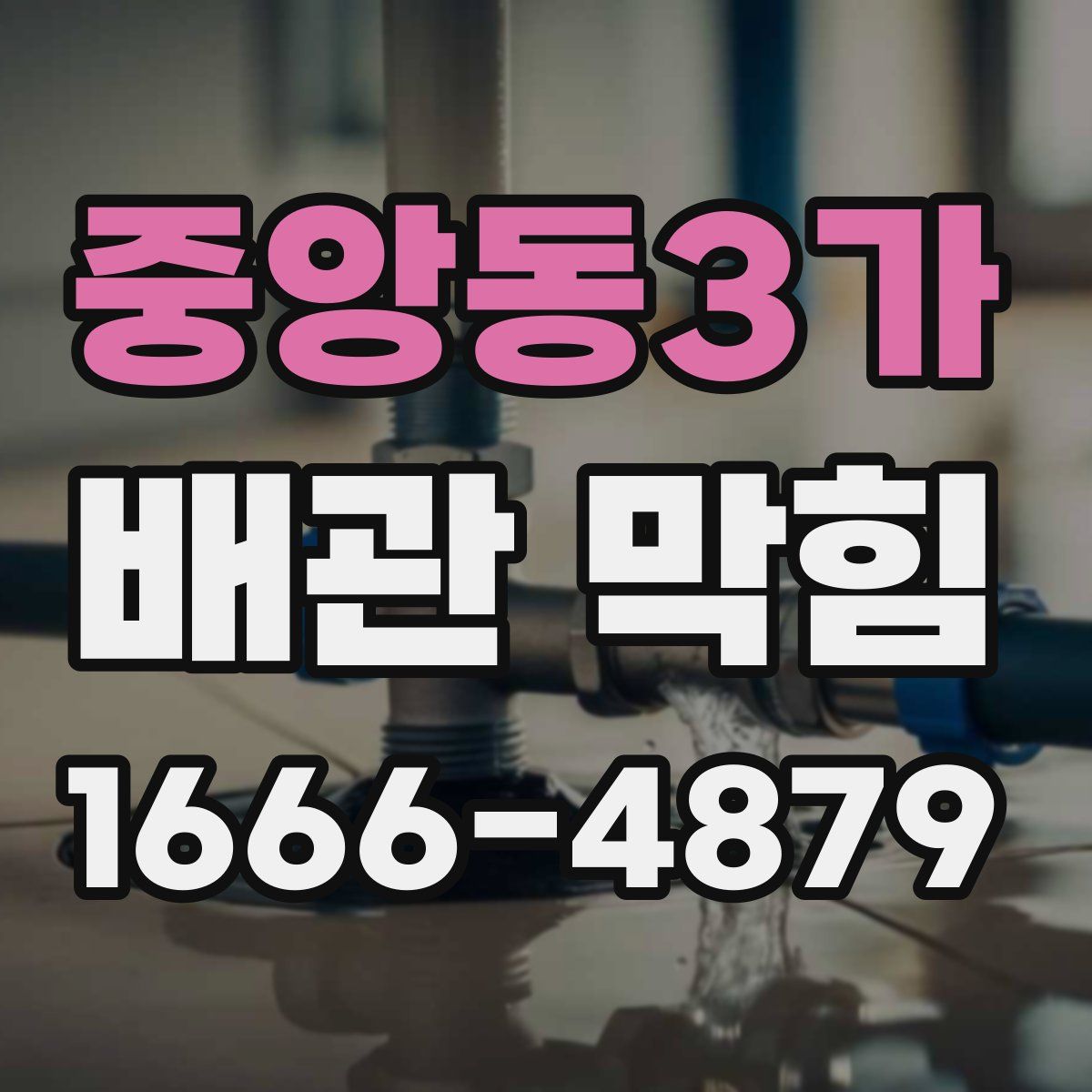 중앙동3가 배관 막힘
