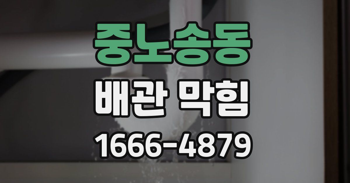중노송동 배관 막힘