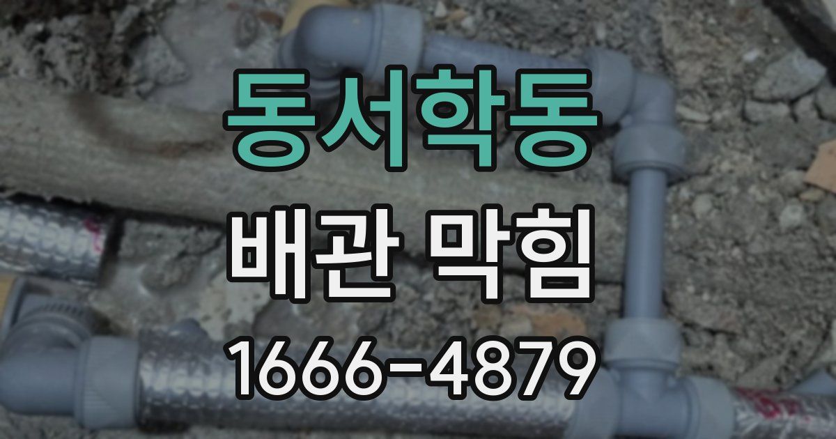 동서학동 배관 막힘