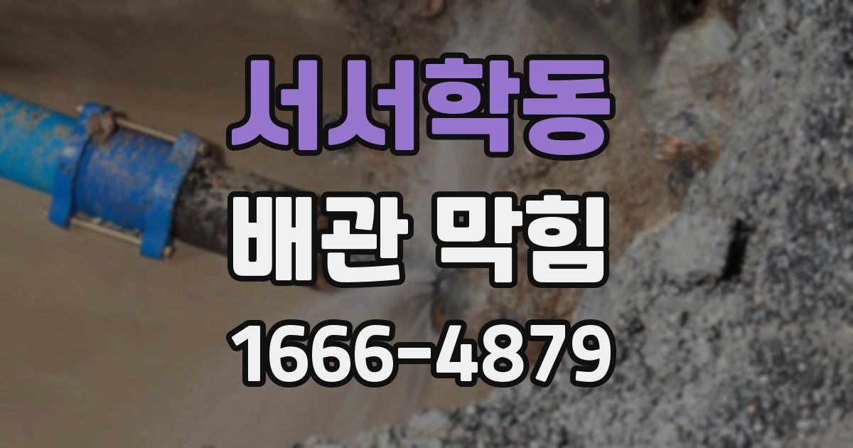서서학동 배관 막힘