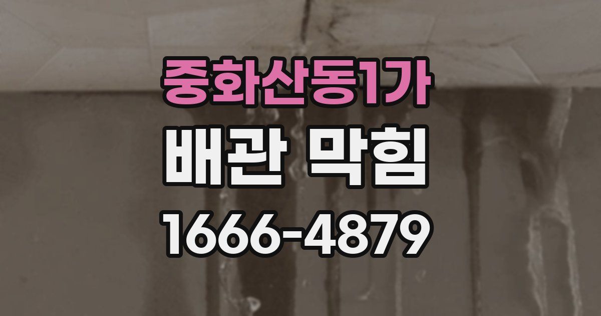 중화산동1가 배관 막힘