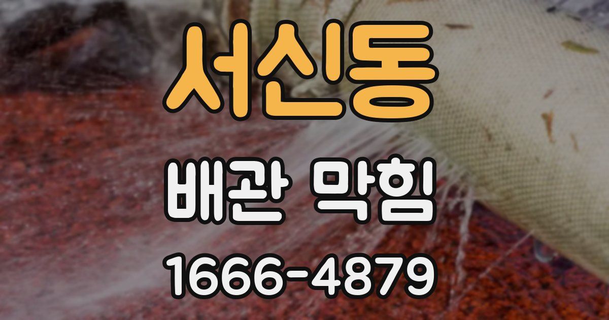 서신동 배관 막힘