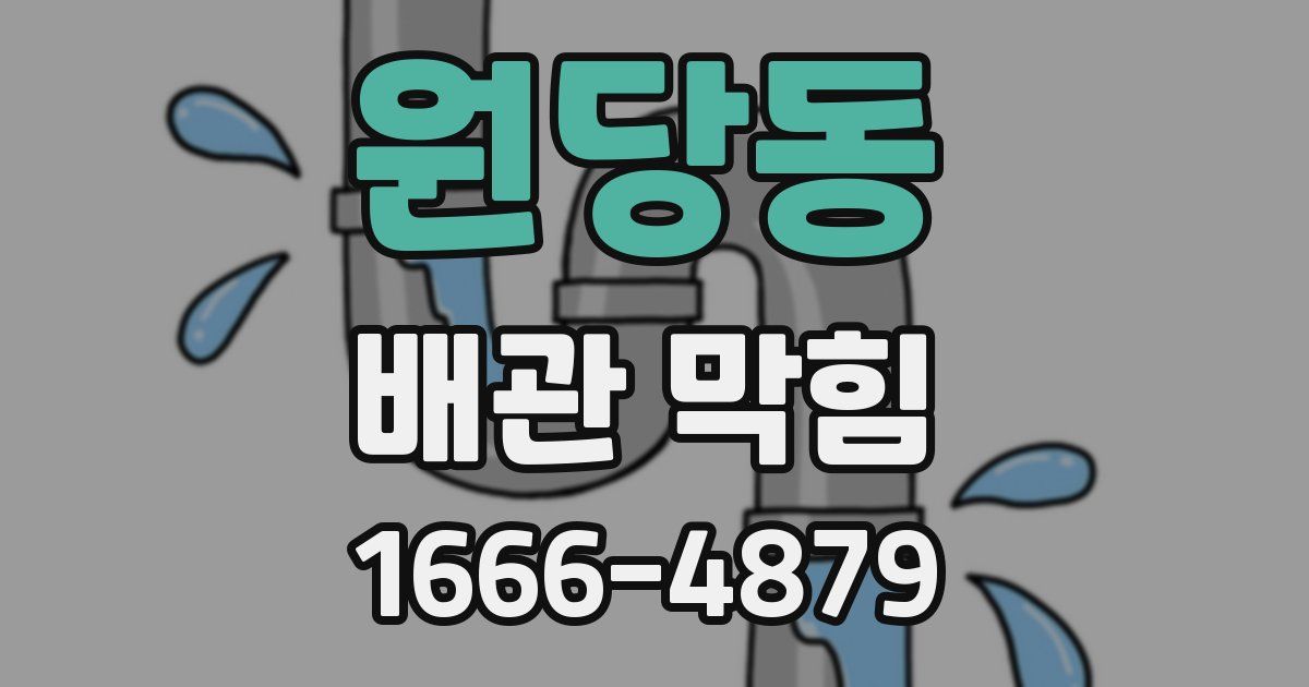 원당동 배관 막힘