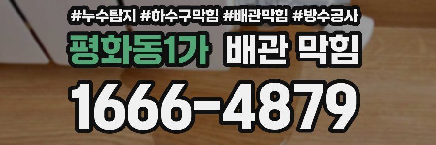 평화동1가 배관 막힘