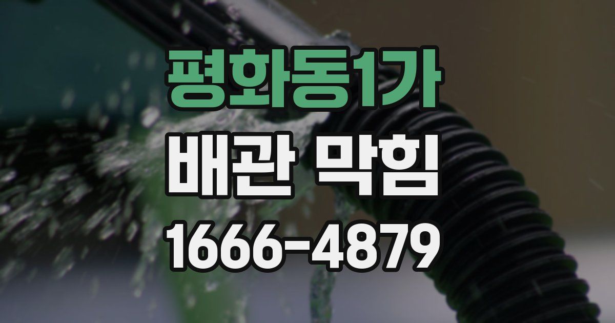 평화동1가 배관 막힘