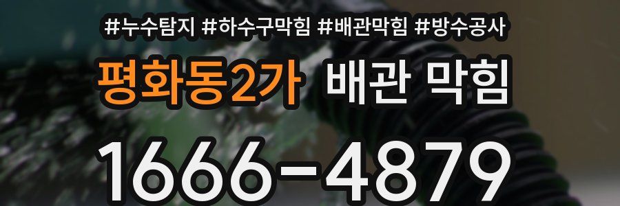 평화동2가 배관 막힘
