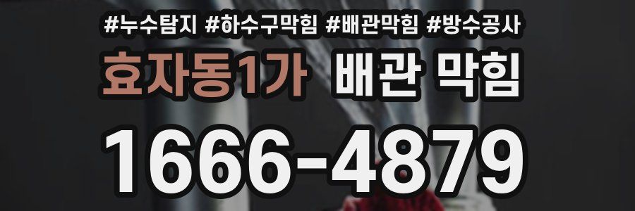 효자동1가 배관 막힘