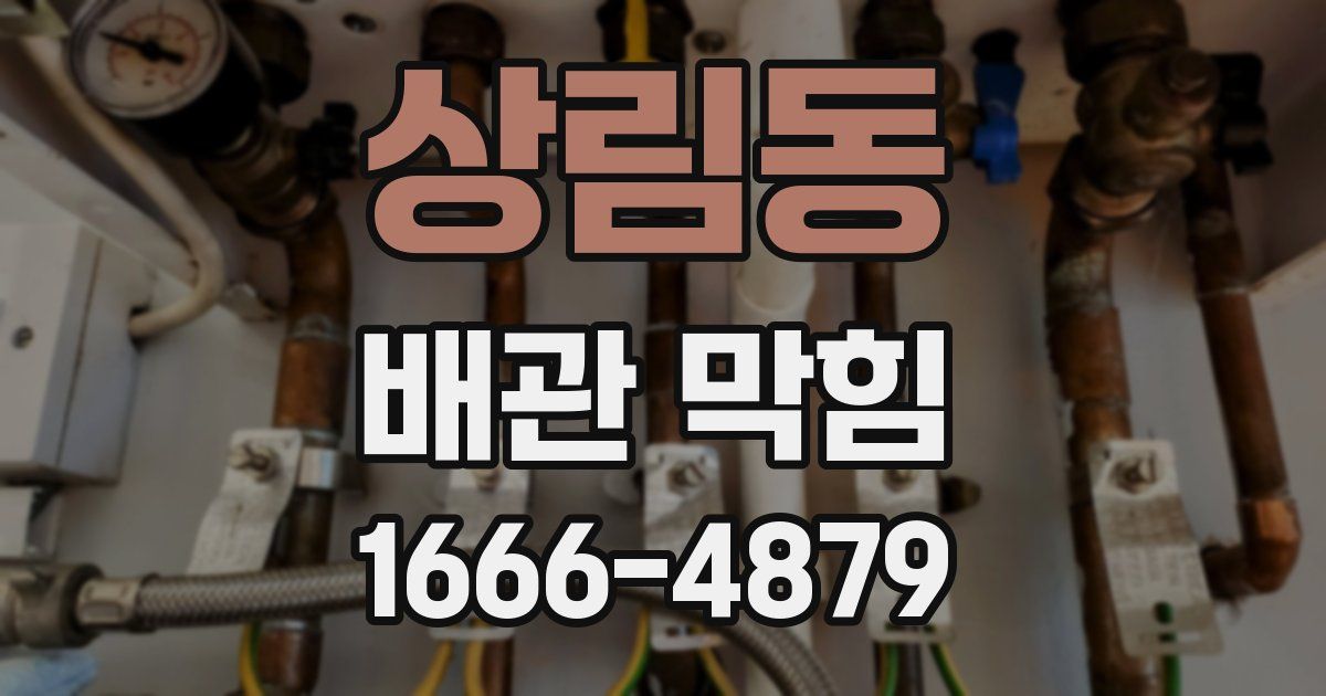 상림동 배관 막힘