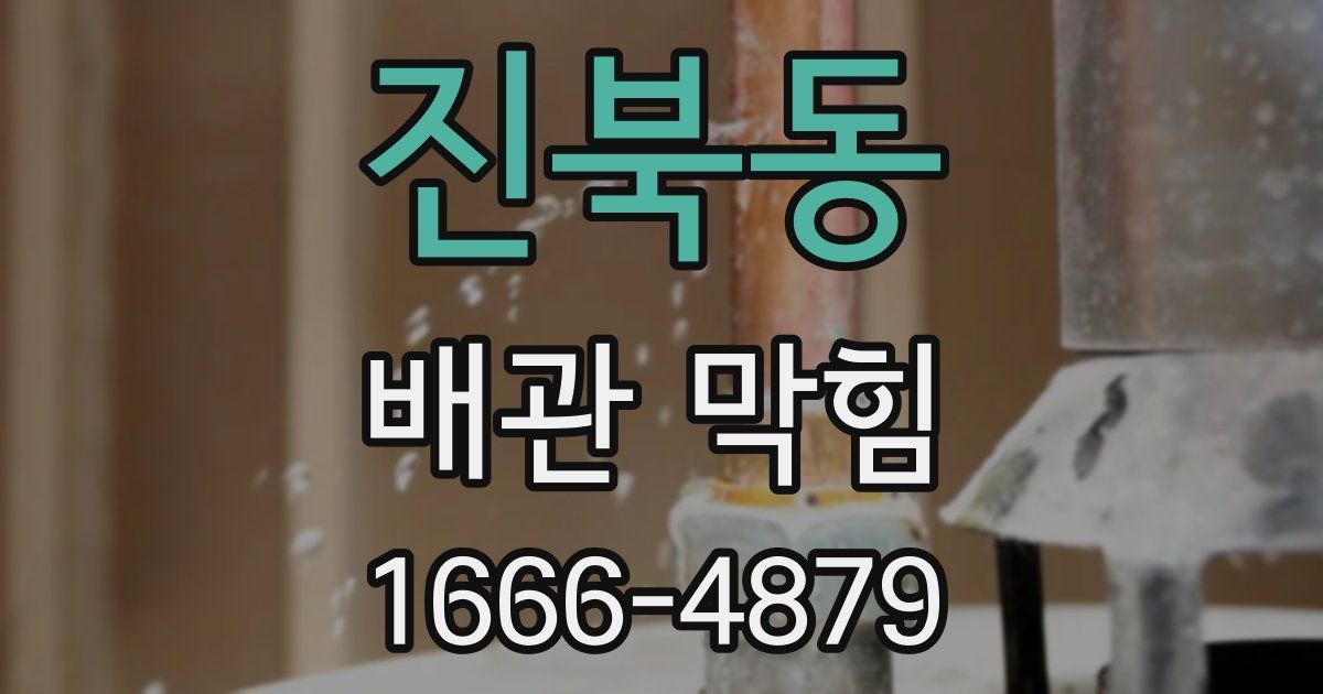 진북동 배관 막힘