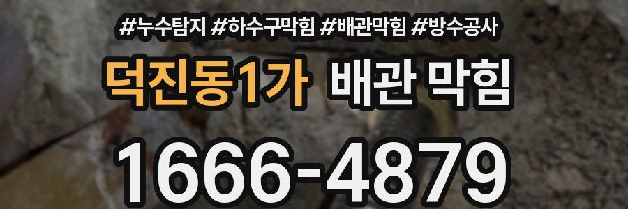 덕진동1가 배관 막힘
