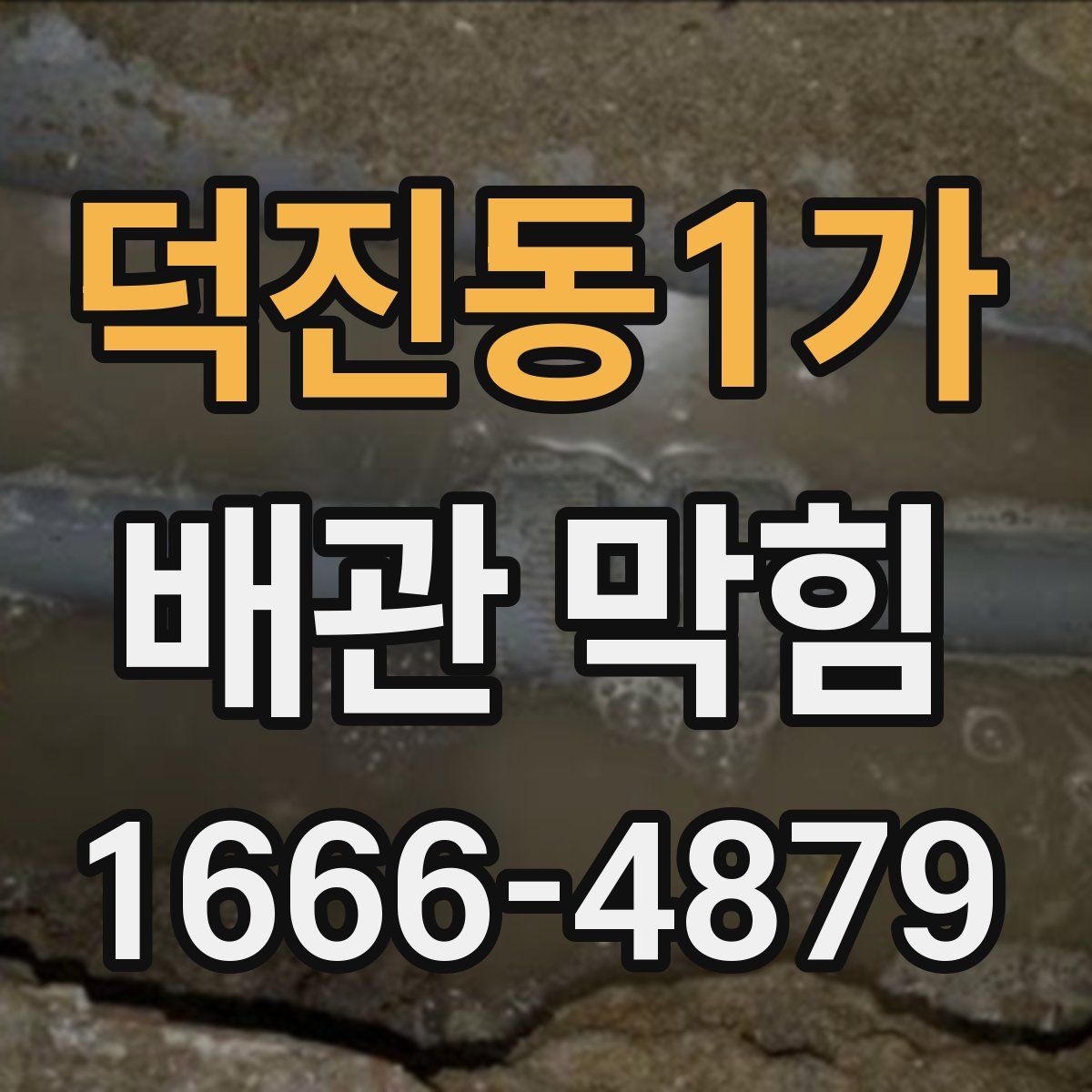 덕진동1가 배관 막힘
