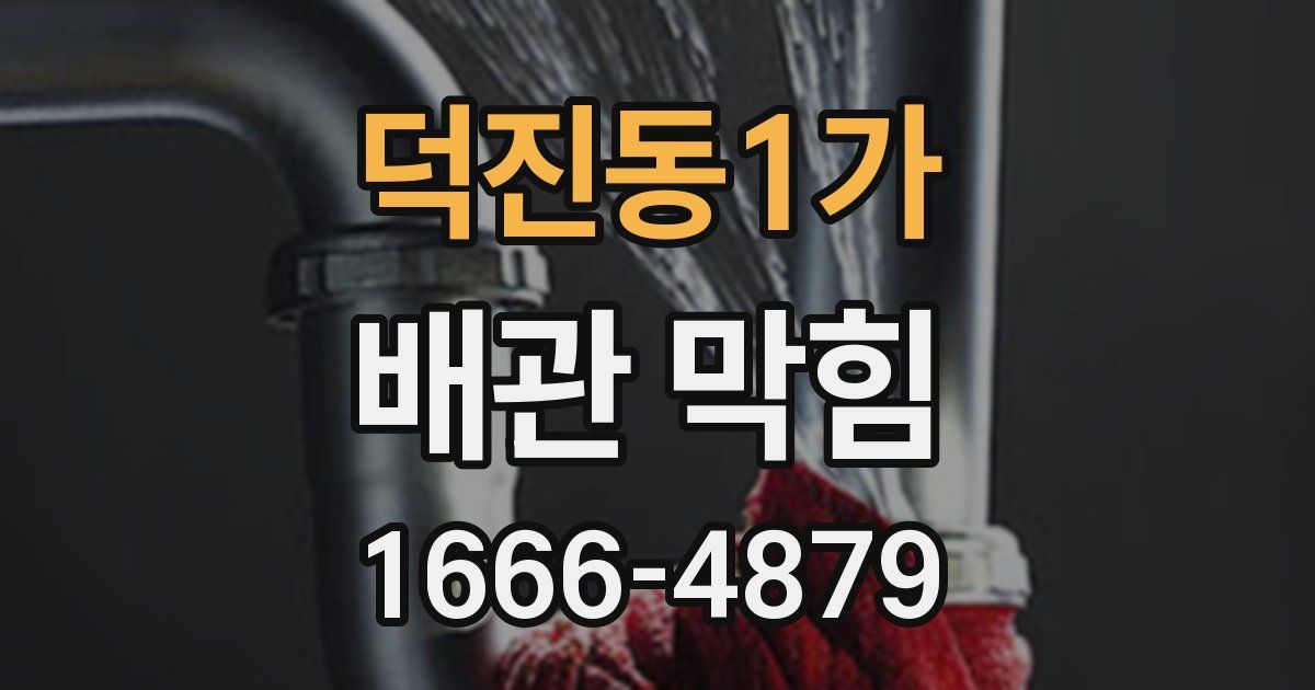 덕진동1가 배관 막힘