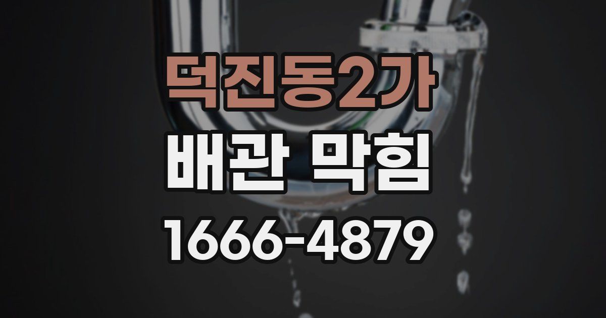 덕진동2가 배관 막힘