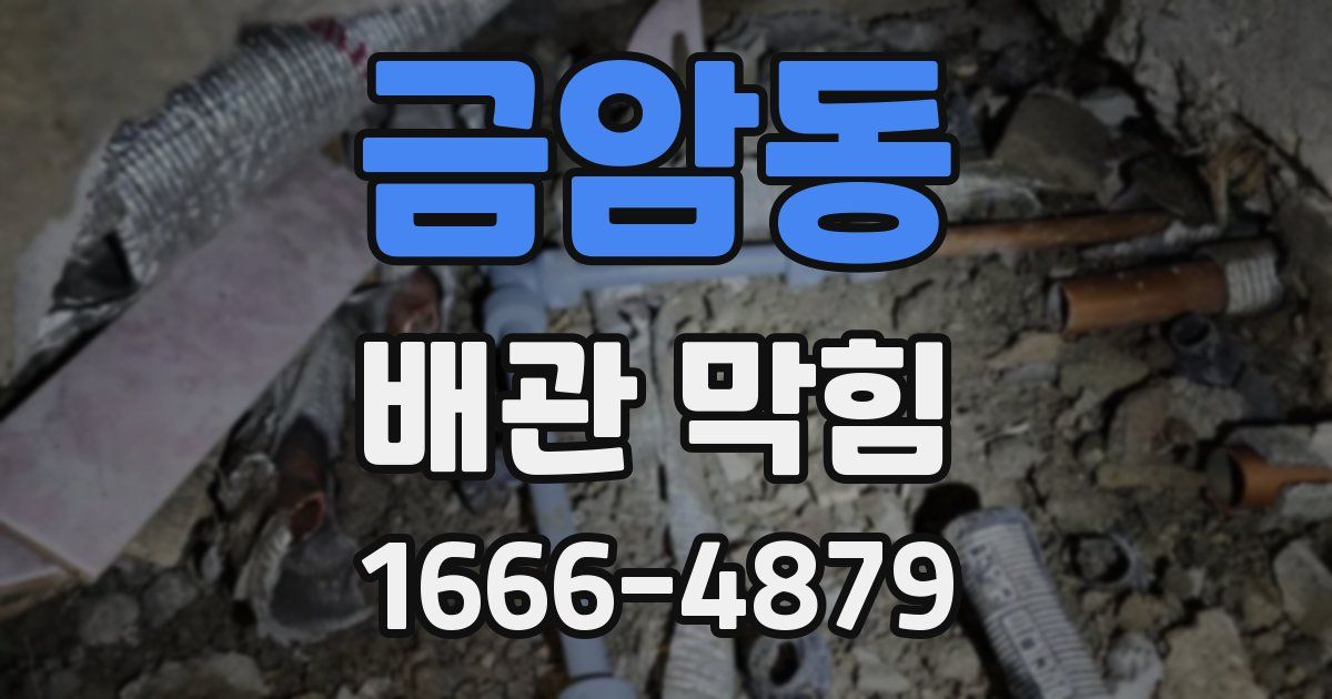금암동 배관 막힘