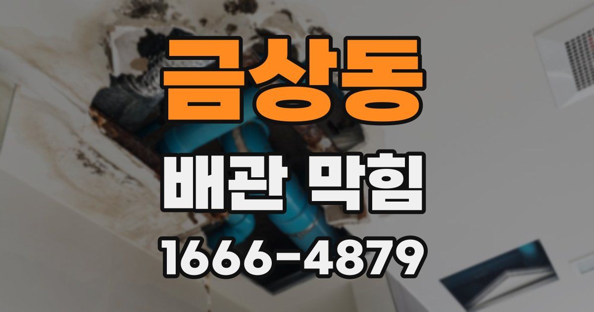 금상동 배관 막힘