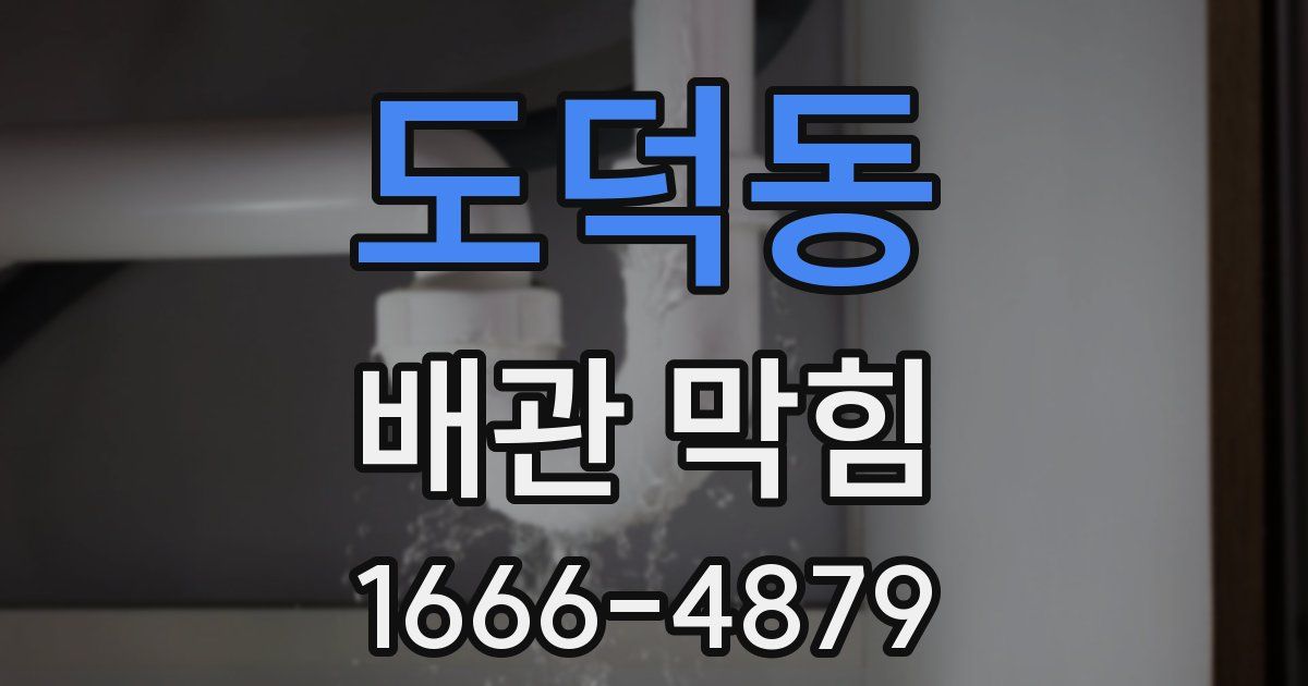 도덕동 배관 막힘