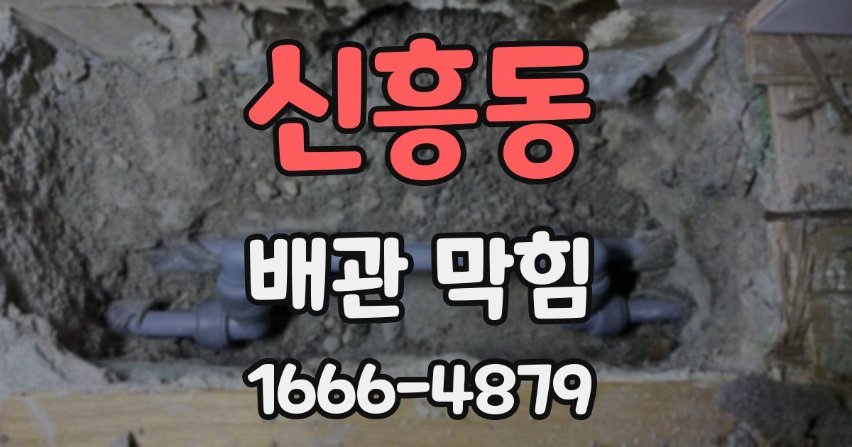 신흥동 배관 막힘