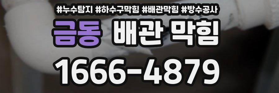 금동 배관 막힘