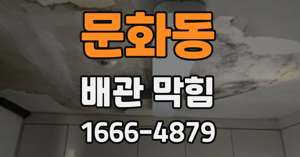 문화동 배관 막힘