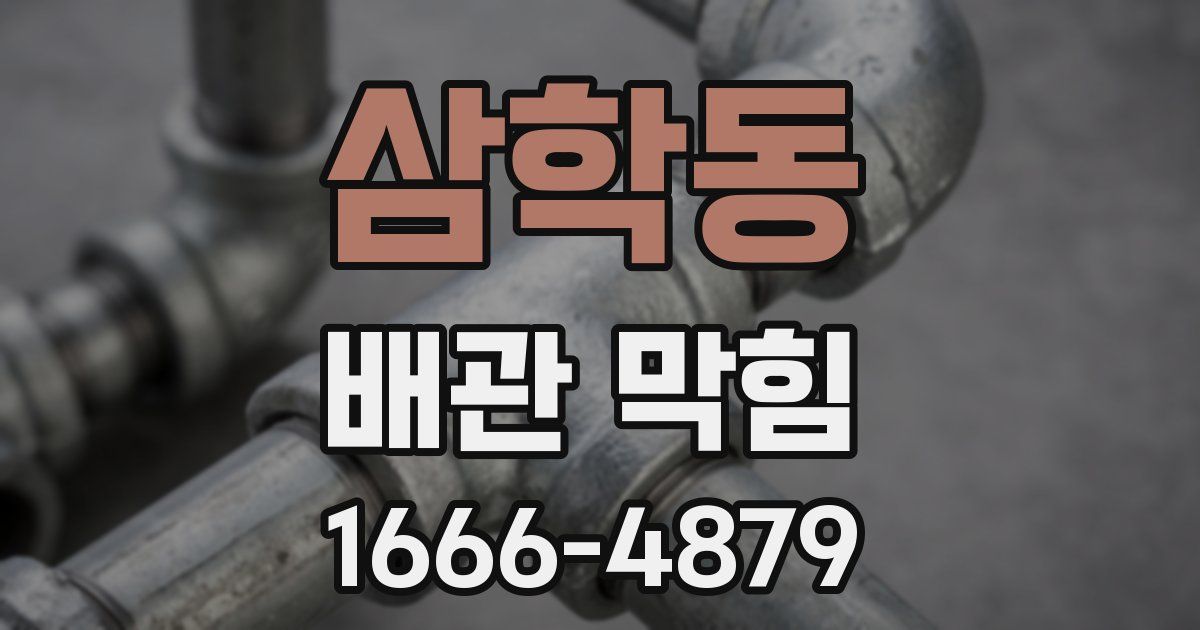 삼학동 배관 막힘