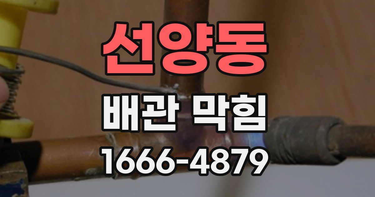 선양동 배관 막힘